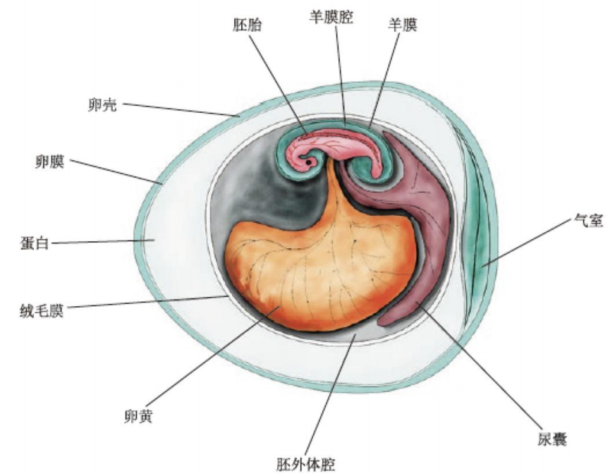 image-20250619152427574